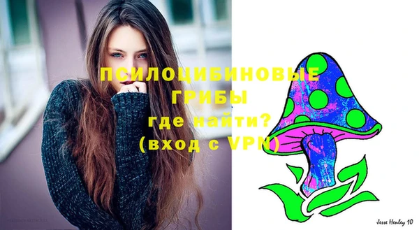марихуана Абаза