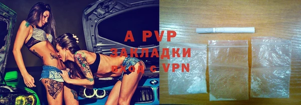 стафф Абинск